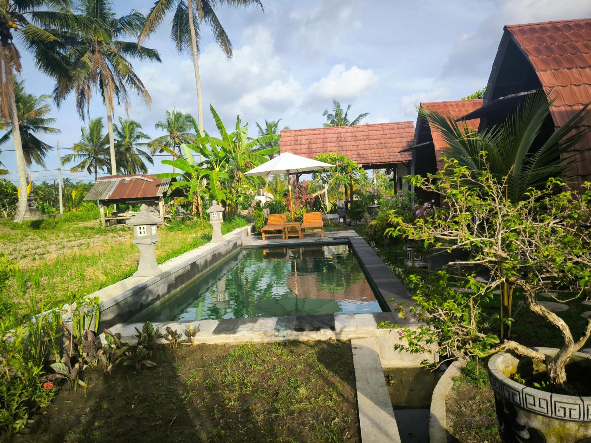 Eling Ubud Guesthouse Exterior foto